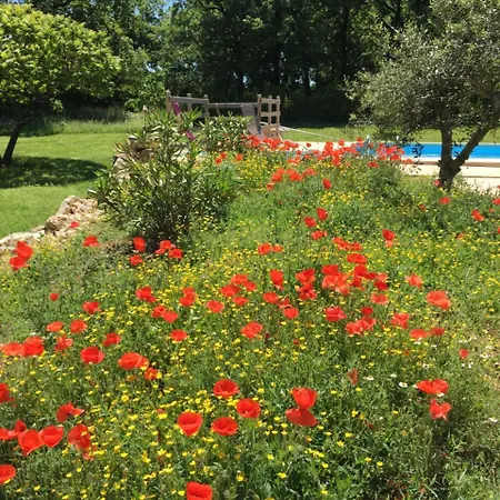 Hotel Le Puech Des Amandiers Villeneuve-sur-Vere