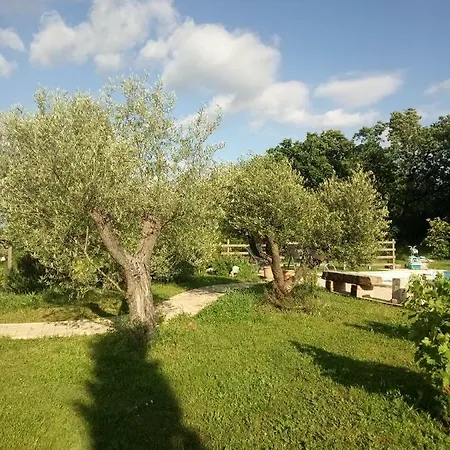 Le Puech Des Amandiers Villeneuve-sur-Vere