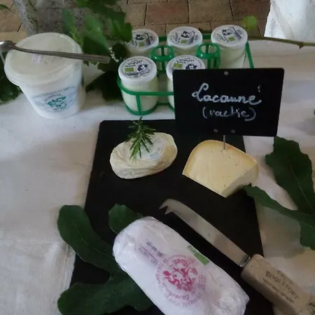 Le Puech Des Amandiers 酒店 Villeneuve-sur-Vere